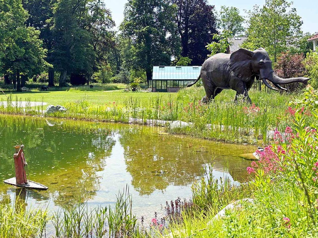 "Der kleine König" im Garten Eden der Greither-Lindner-Stiftung